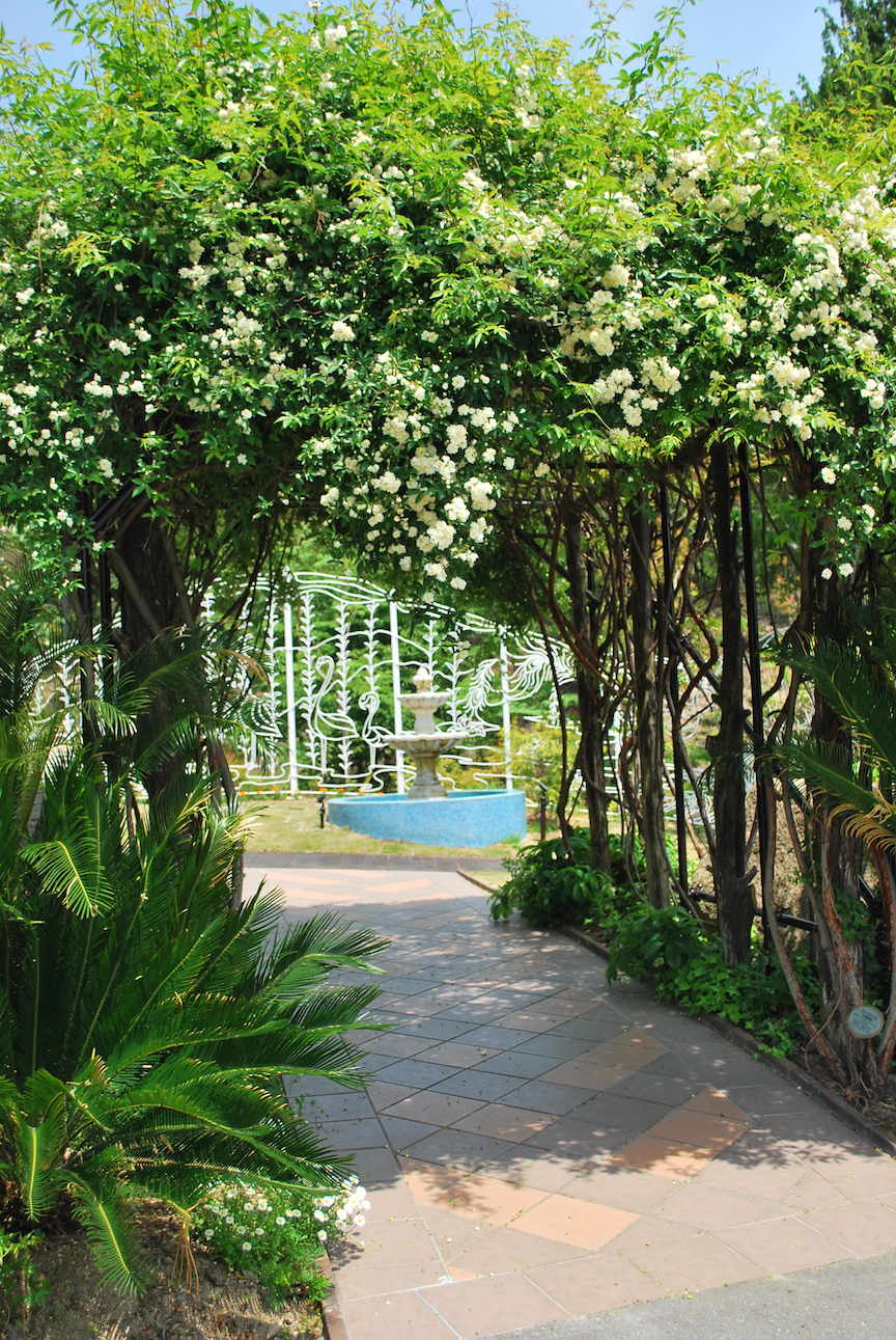 オオデマリのすごいことすごいこと 海の見える杜美術館 広島 海の見える杜美術館 うみもりブログ