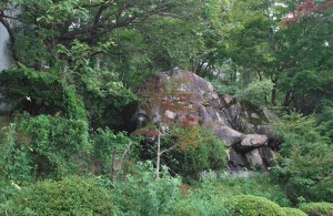 20140813タカサゴユリの花 (1)