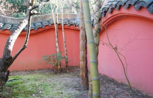 20150119 キッコウチク (1)