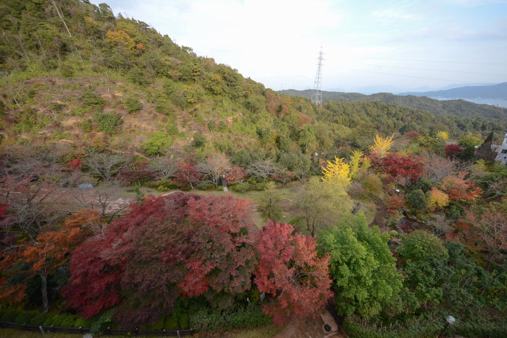 20161117杜の遊歩道の紅葉が見ごろを迎えています (1)