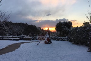 20170114 雪の朝 (1)